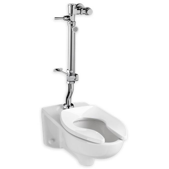 American Standard  Toilet Parts item 6047861.002
