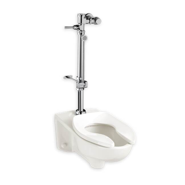 American Standard  Toilet Parts item 6047820.002