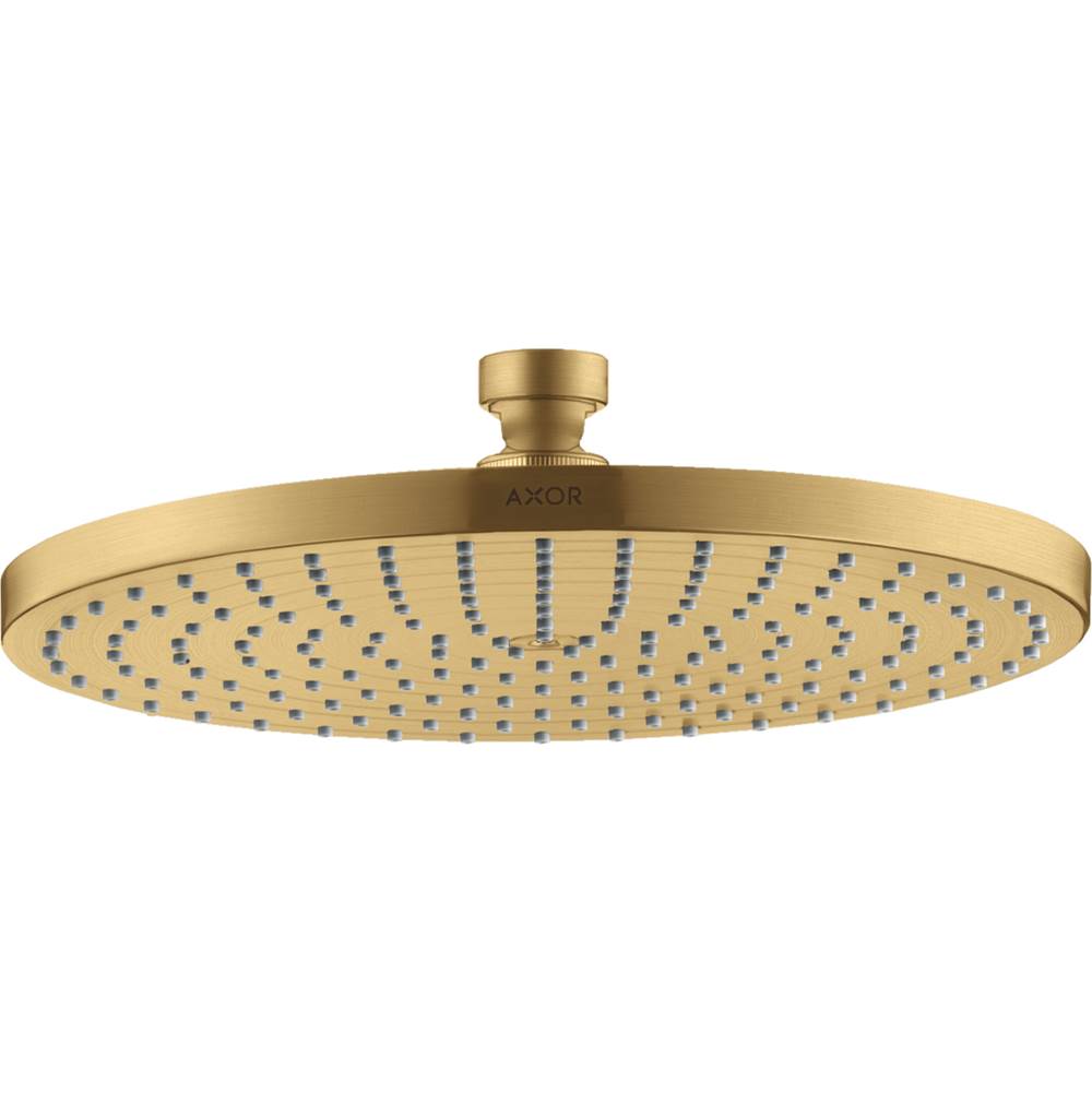 General Plumbing Supply DistributionAxorStarck Showerhead 240 1-Jet, 2.5 GPM in Brushed Gold Optic