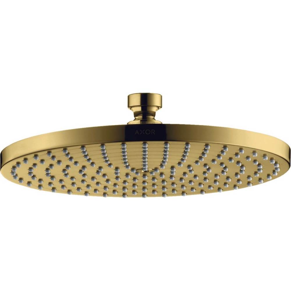 General Plumbing Supply DistributionAxorStarck Showerhead 240 1-Jet, 2.5 GPM in Polished Gold Optic
