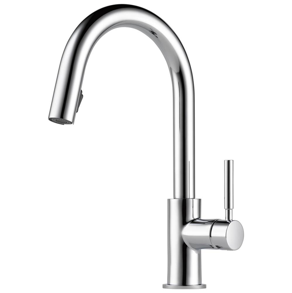 Brizo Retractable Faucets Kitchen Faucets item 63020LF-PC