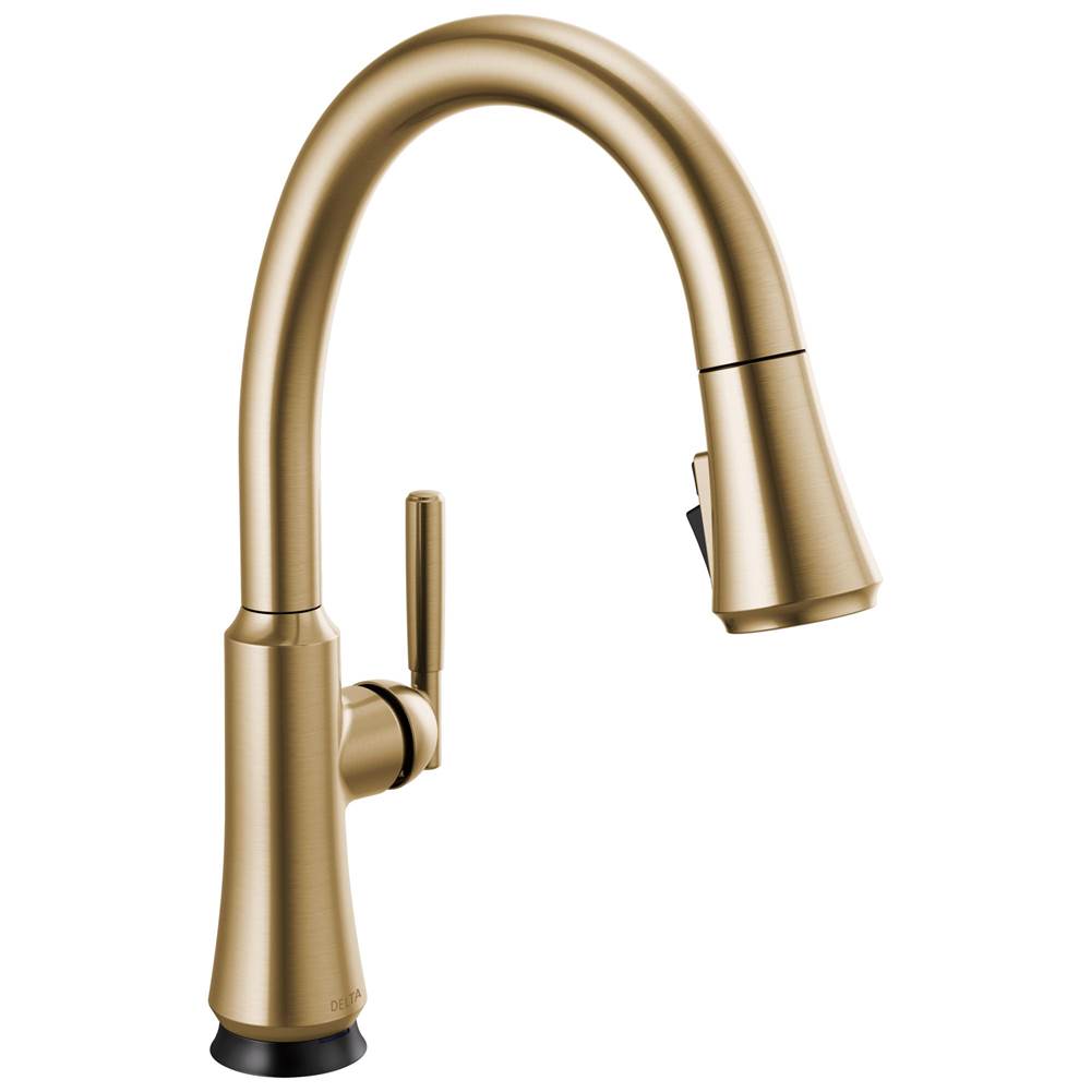 Delta Faucet Retractable Faucets Kitchen Faucets item 9179TL-CZ-DST