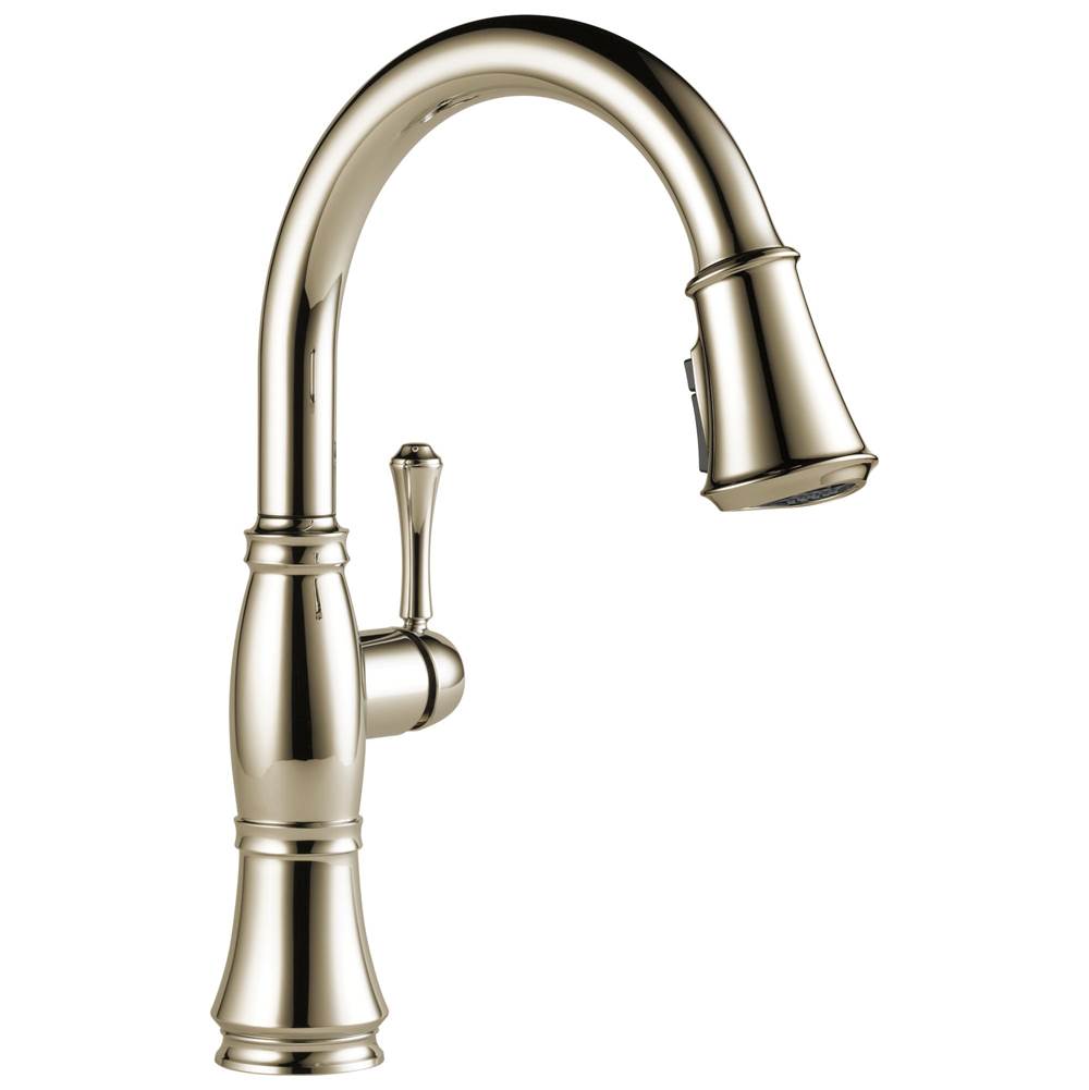 Delta Faucet Retractable Faucets Kitchen Faucets item 9197-PN-PR-DST