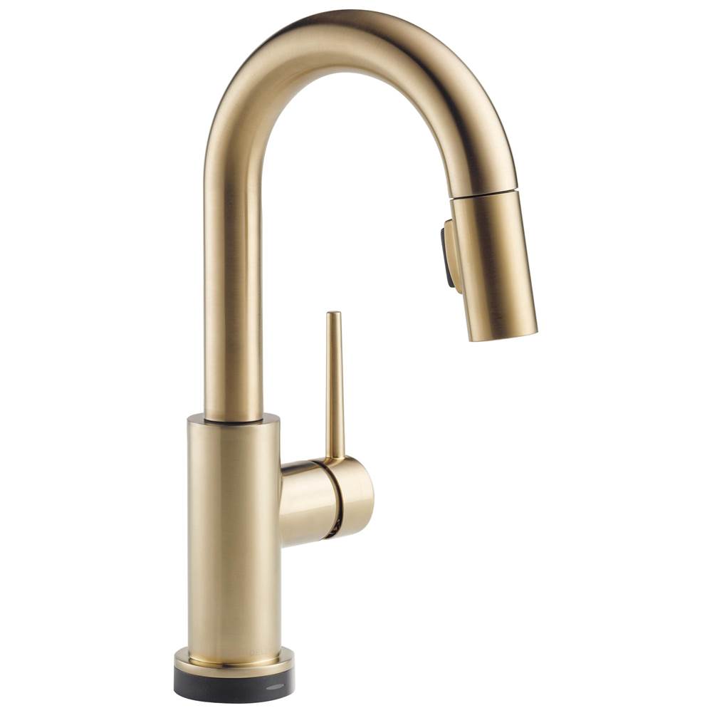 Delta Faucet  Bar Sink Faucets item 9959T-CZ-DST