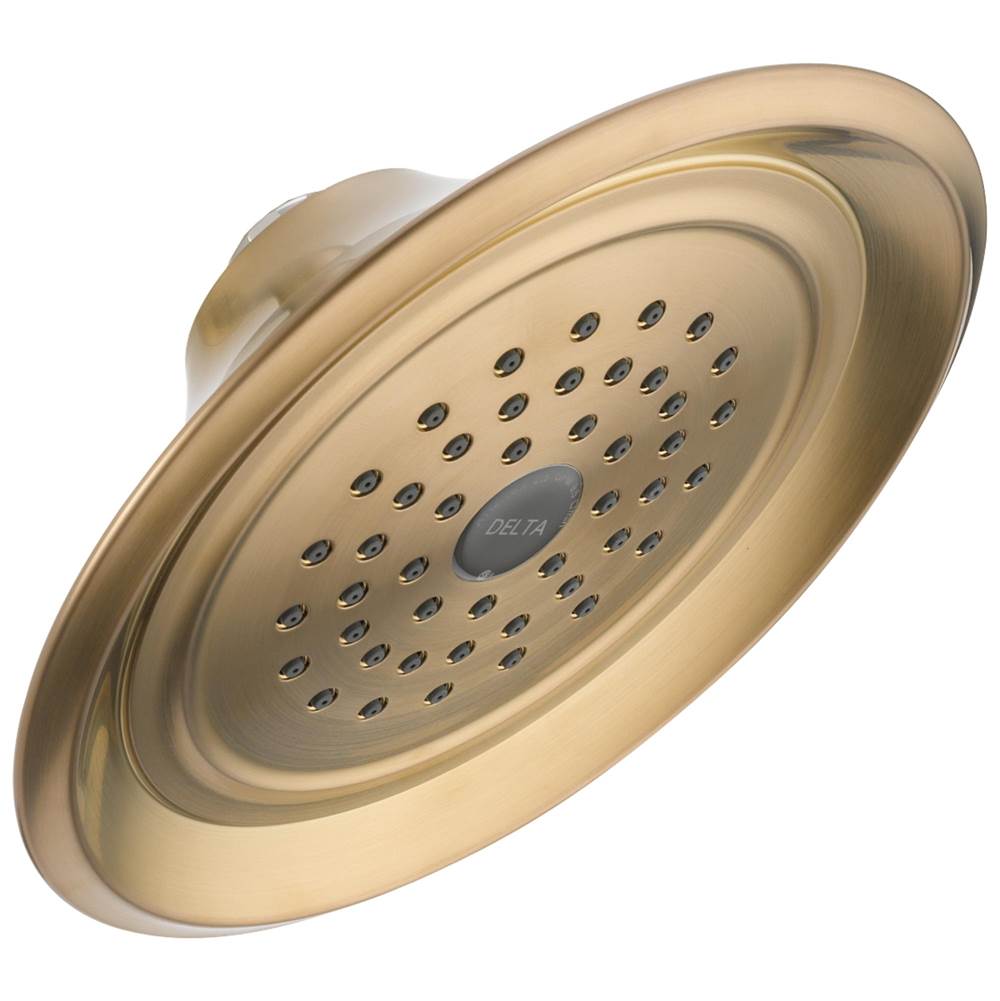 Delta Faucet  Shower Heads item RP48686CZ