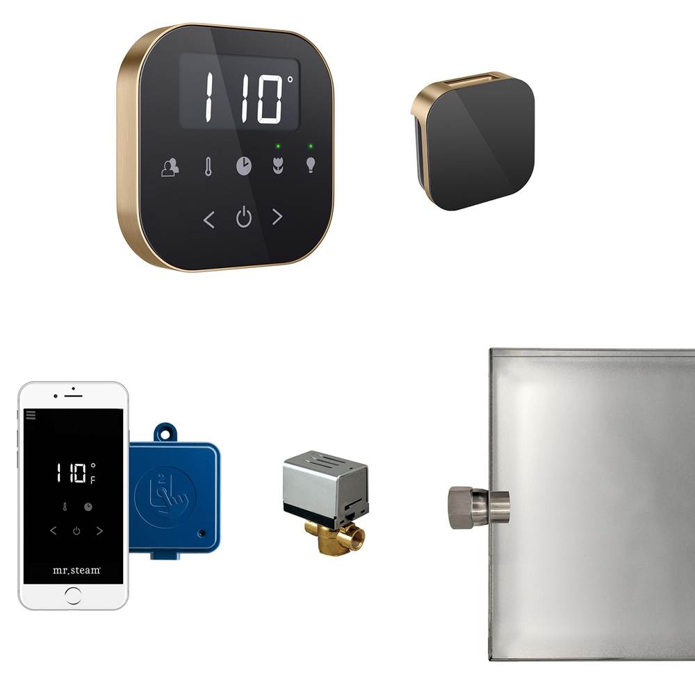 General Plumbing Supply DistributionMr. SteamAirButler Steam Shower Control Package with AirTempo Control and Aroma Glass SteamHead in Black Brushed Bronze