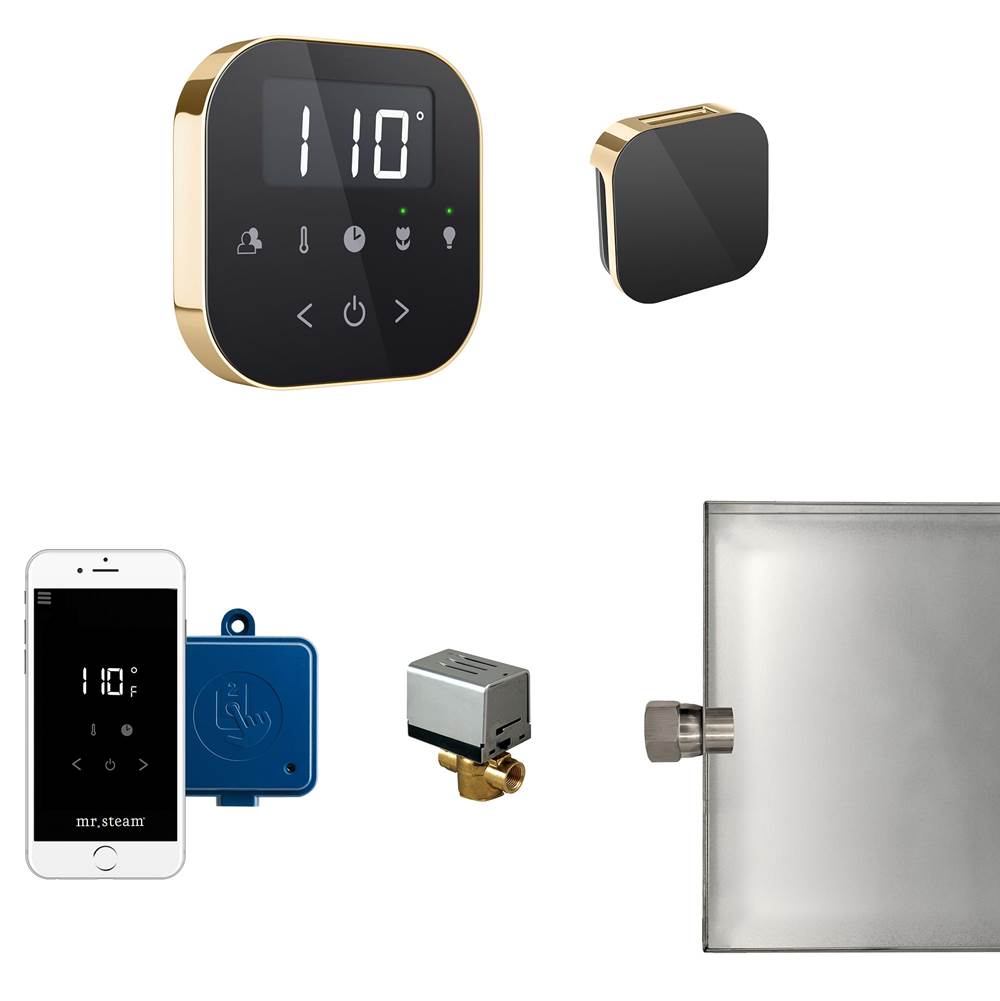 General Plumbing Supply DistributionMr. SteamAirButler Steam Shower Control Package with AirTempo Control and Aroma Glass SteamHead in Black Polished Brass