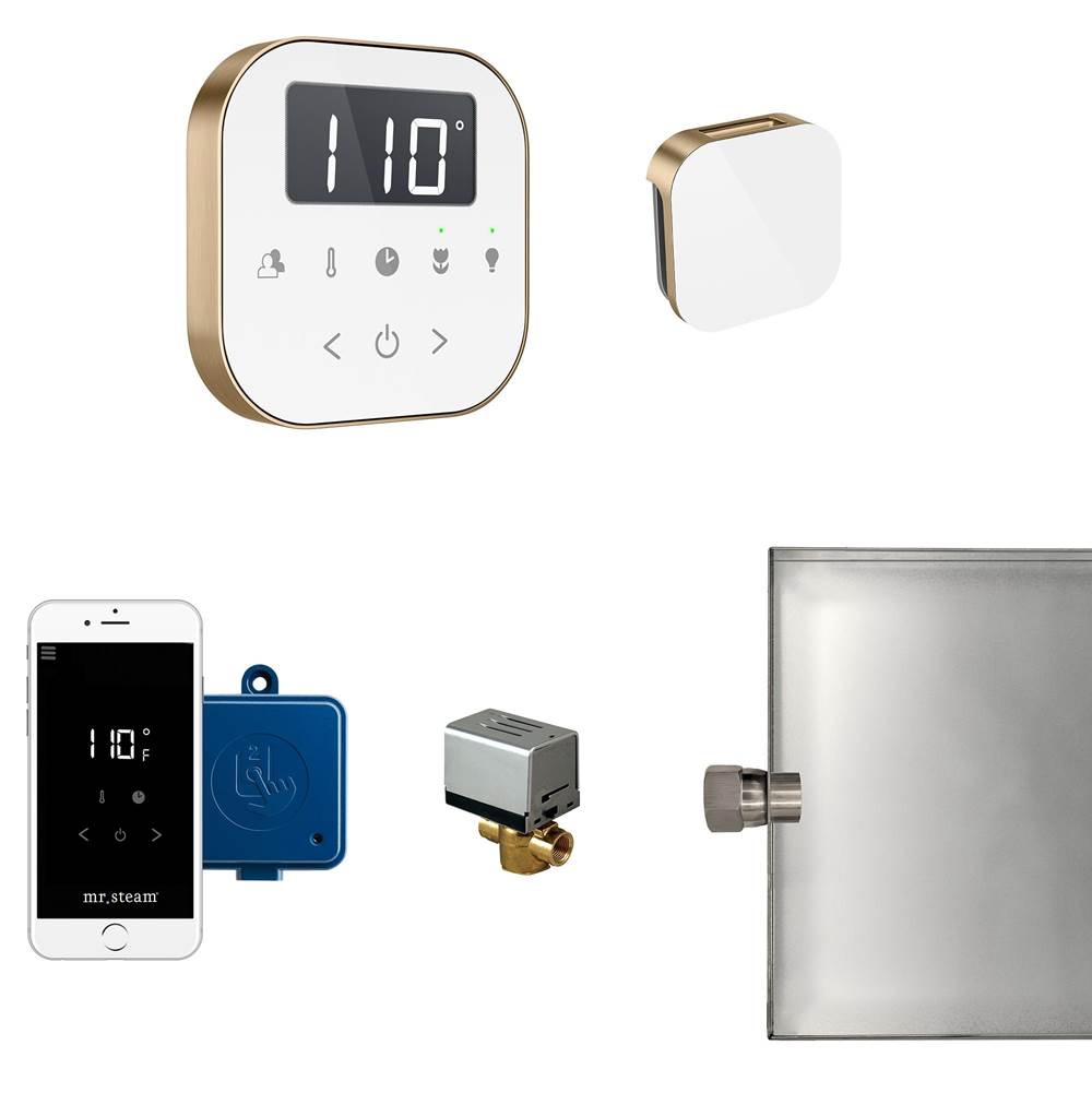 General Plumbing Supply DistributionMr. SteamAirButler Steam Shower Control Package with AirTempo Control and Aroma Glass SteamHead in White Brushed Bronze