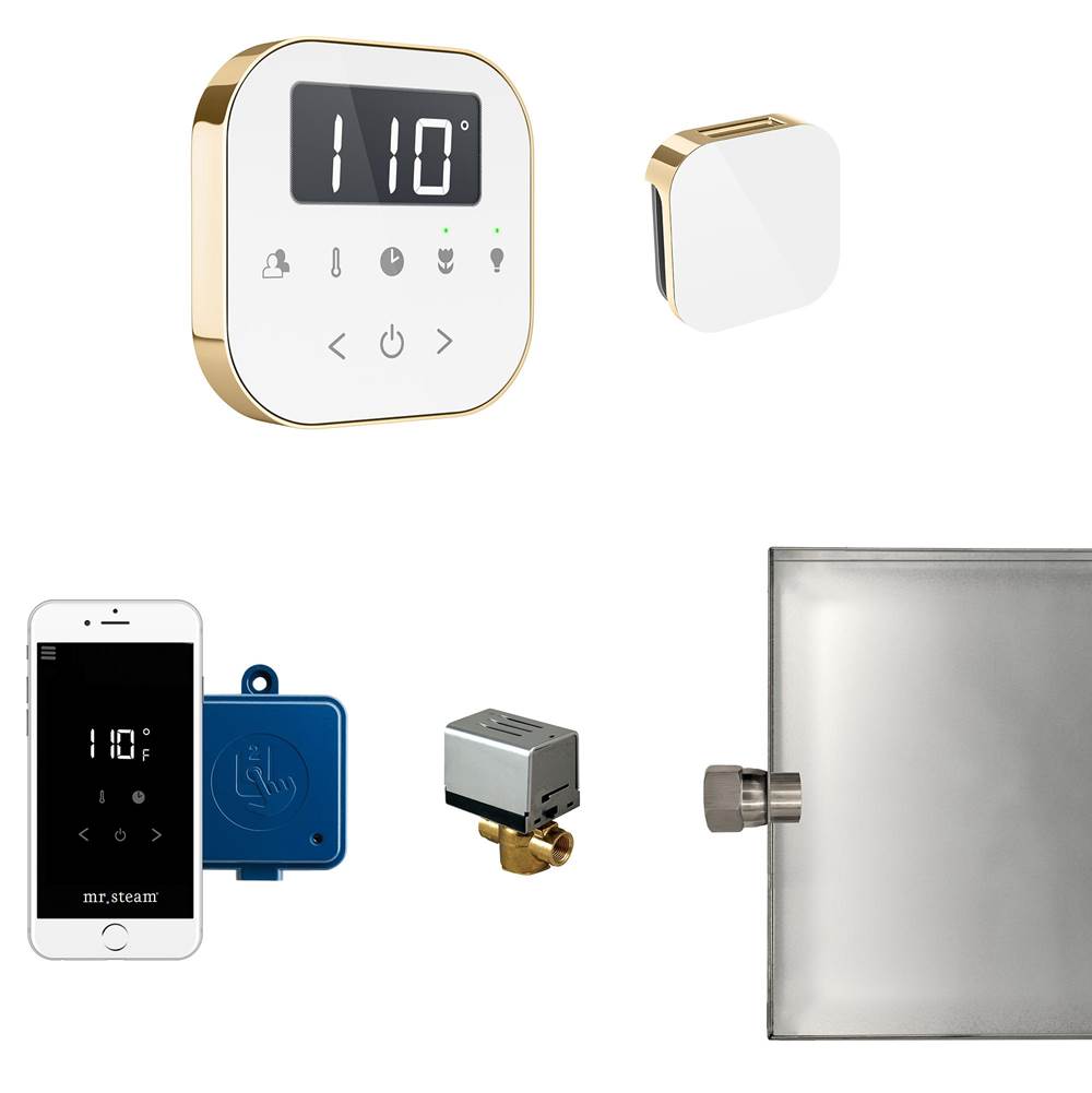 General Plumbing Supply DistributionMr. SteamAirButler Steam Shower Control Package with AirTempo Control and Aroma Glass SteamHead in White Polished Brass