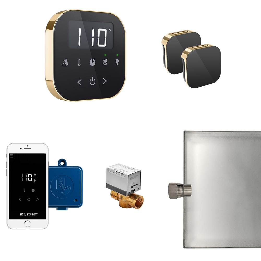 General Plumbing Supply DistributionMr. SteamAirButler Max Steam Shower Control Package with AirTempo Control and Aroma Glass SteamHead in Black Polished Brass