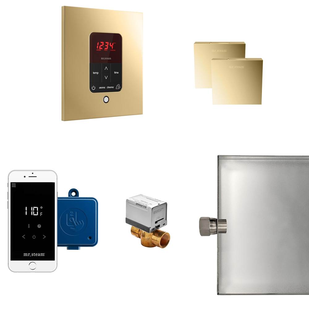 General Plumbing Supply DistributionMr. SteamButler Max Steam Shower Control Package with iTempoPlus Control and Aroma Designer SteamHead in Square Polished Brass