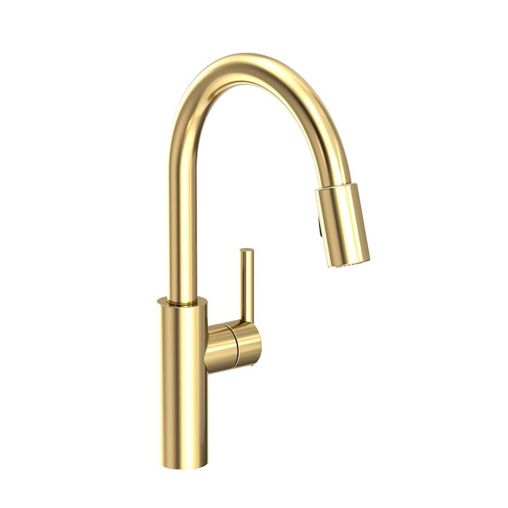 Newport Brass Single Hole Kitchen Faucets item 1500-5103/01