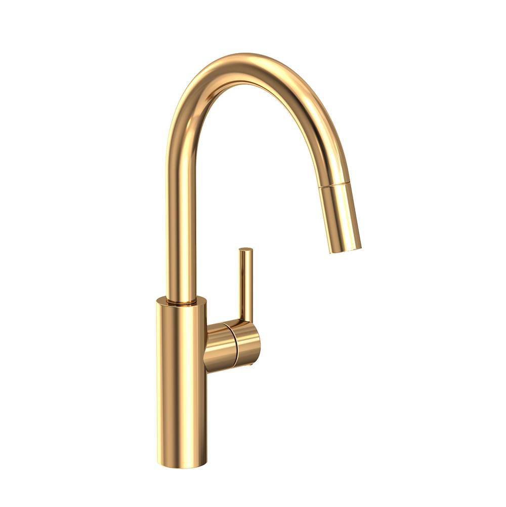 Newport Brass Retractable Faucets Kitchen Faucets item 1500-5113/03N
