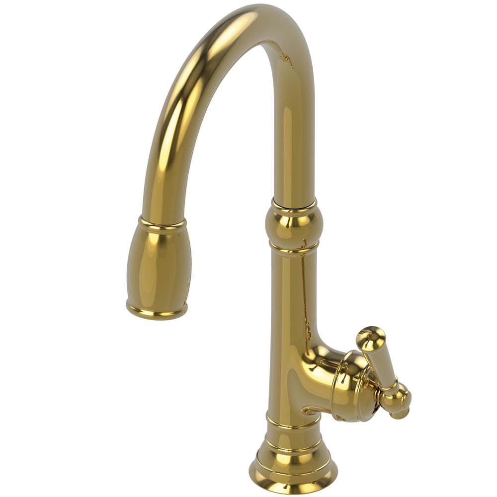 Newport Brass Single Hole Kitchen Faucets item 2470-5103/03N