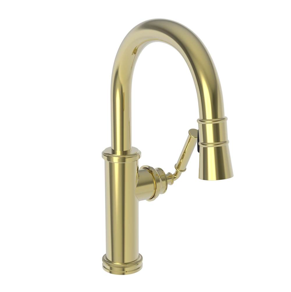 Newport Brass Pull Down Bar Faucets Bar Sink Faucets item 2940-5223/03N