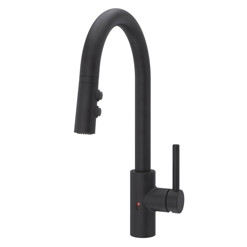 Pfister Single Hole Kitchen Faucets item LG529-ESAB